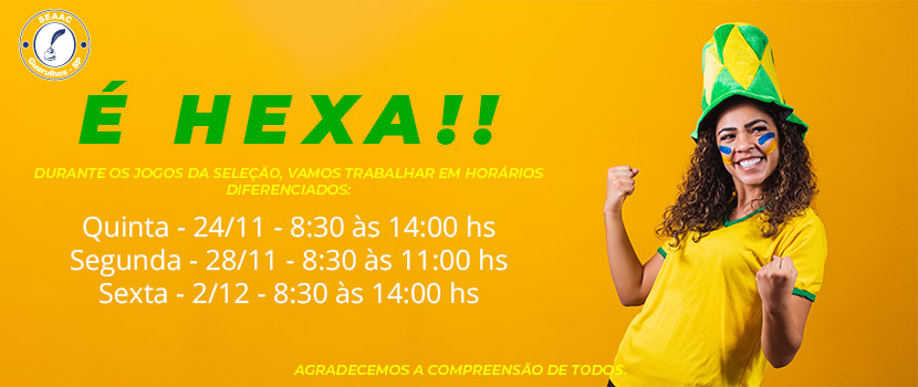 COPA DO MUNDO  - HORÁRIO JOGO BRASIL 